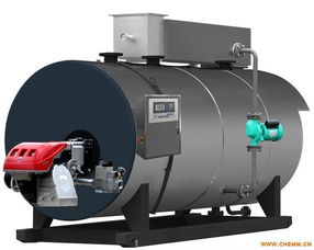 臥式冷凝常壓熱水鍋爐與LNG低溫常壓儲(chǔ)罐 核心技術(shù)、廠家概覽與市場(chǎng)展望